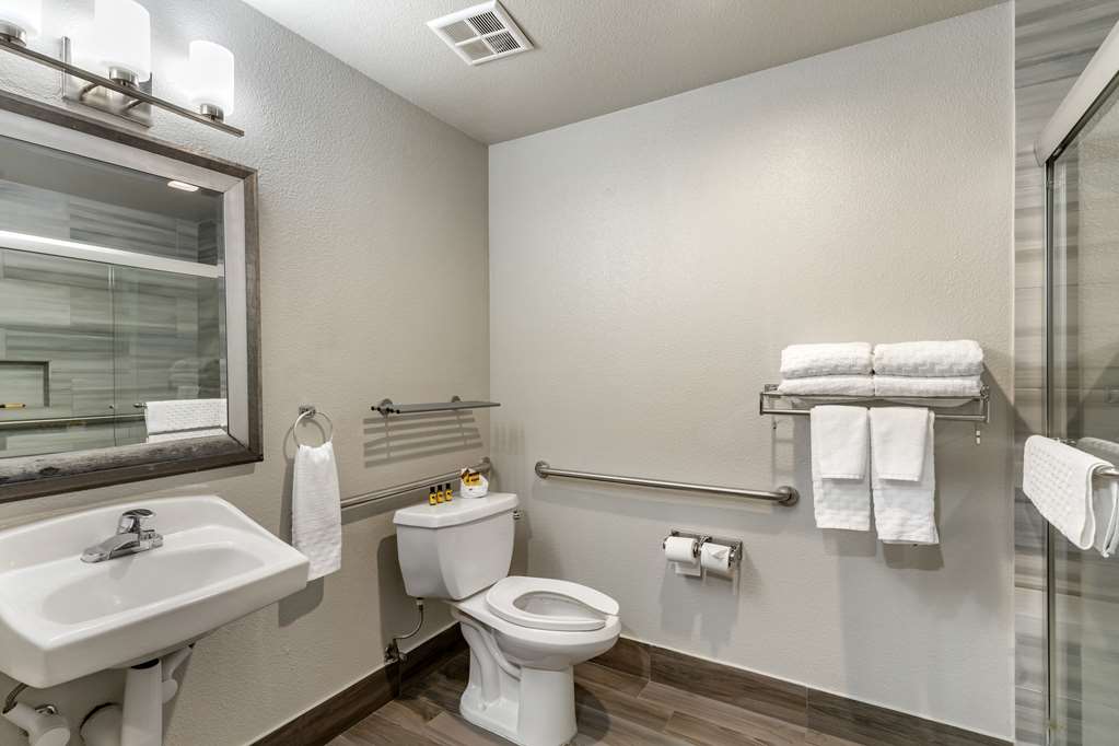 Best Western Plus Vineyard Inn - photo 4