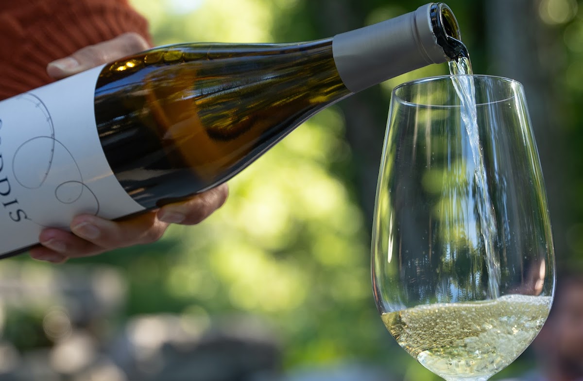 Caddis Winery - photo 1
