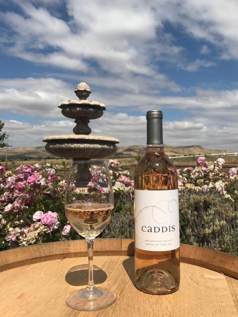 Caddis Winery - photo 4