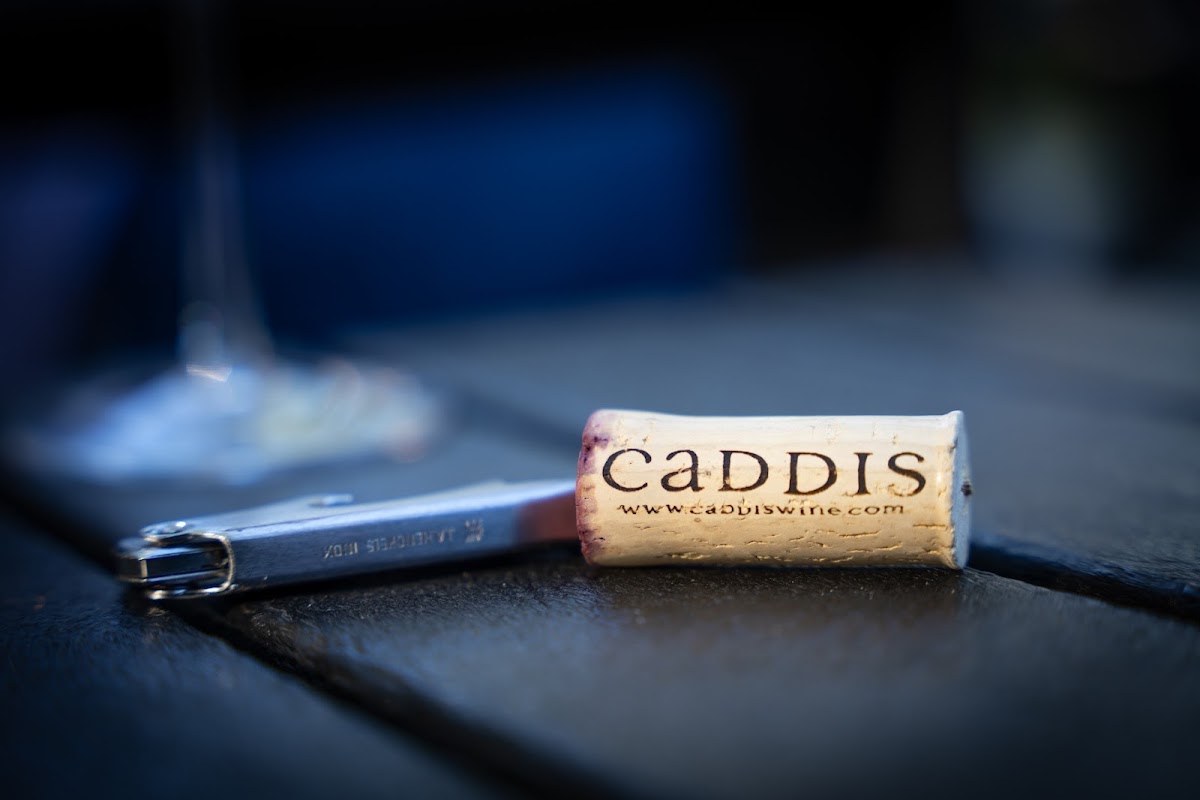 Caddis Winery - photo 5